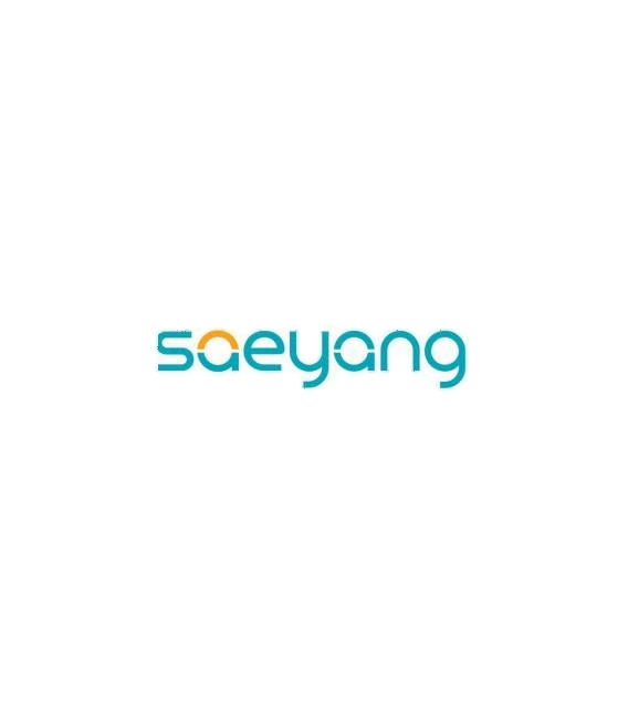 Logo de Saeyang